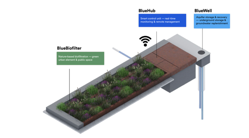 BlueBloqs ARTIS - foto 4