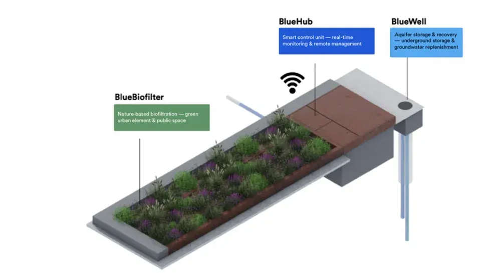 BlueBloqs ARTIS - foto 4
