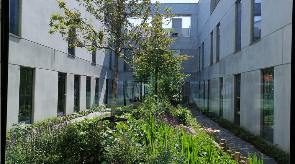 Binnentuin Boerhaave Kliniek - foto 1
