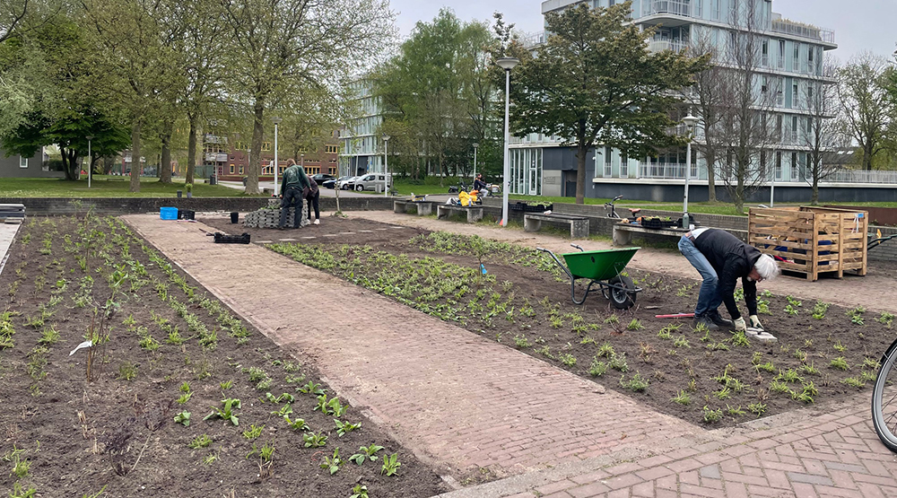 Groen Nieuw-West Coöperatie - foto
