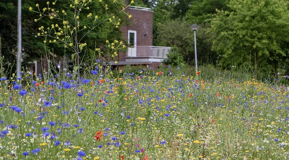Klimaattuin Slotermeer - foto 5