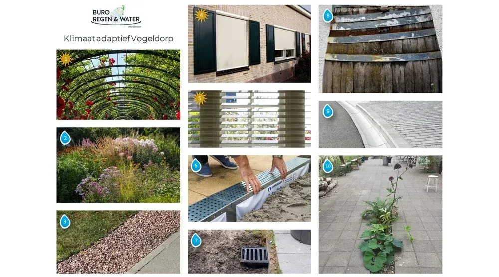 Vogeldorp Uitvoeringsbegeleiding - foto 7